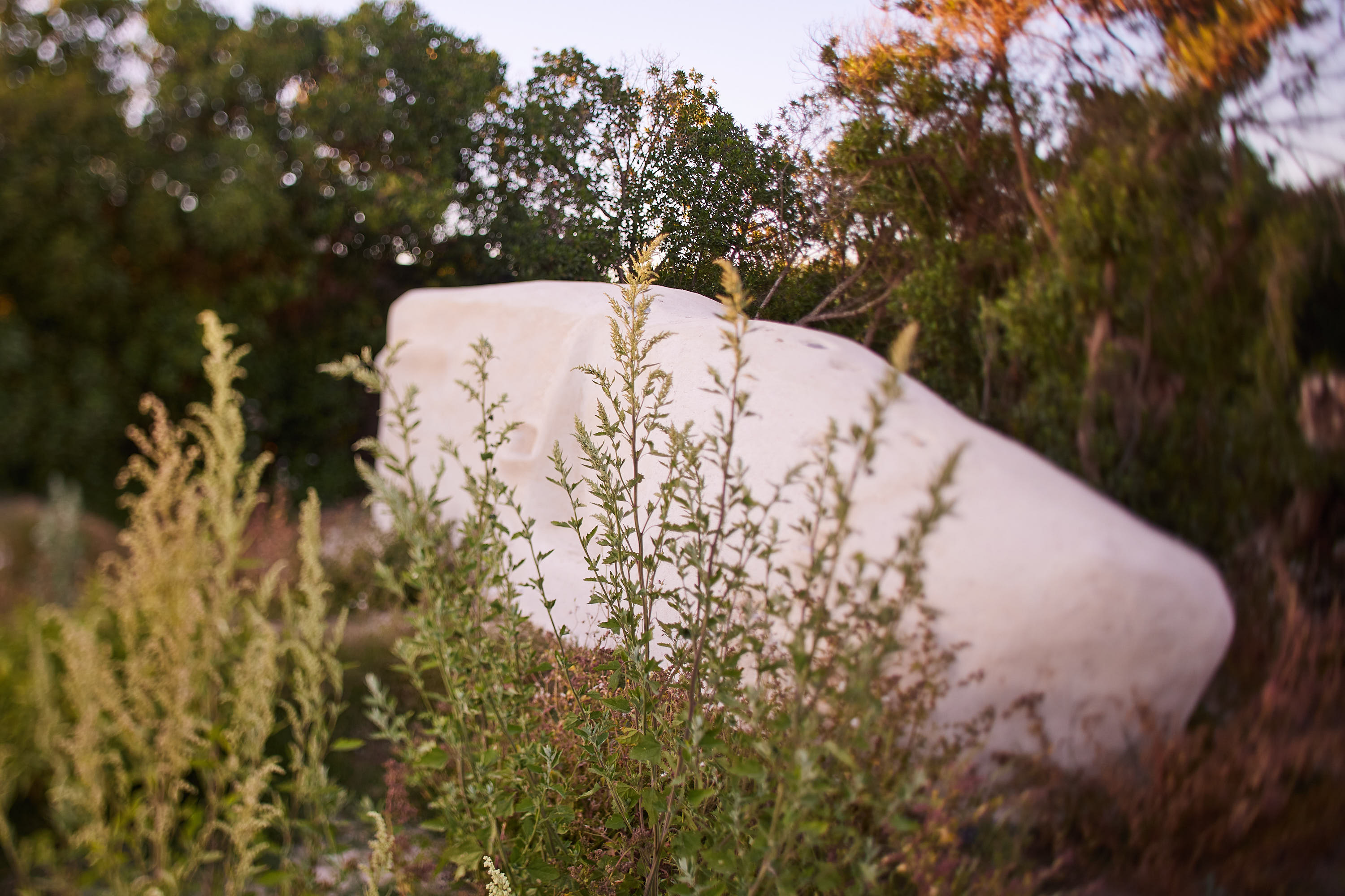 A whitewashed boulder set among wild grasses in the garden